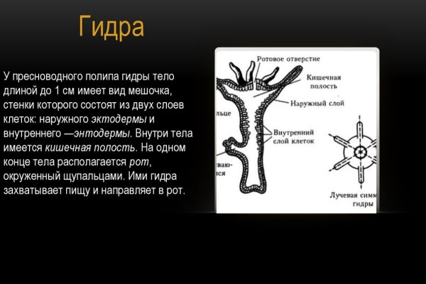 Как зайти на блэкспрут через тор