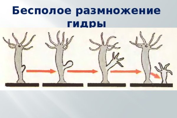 Интернет магазин блэкспрут как зайти в телефоне