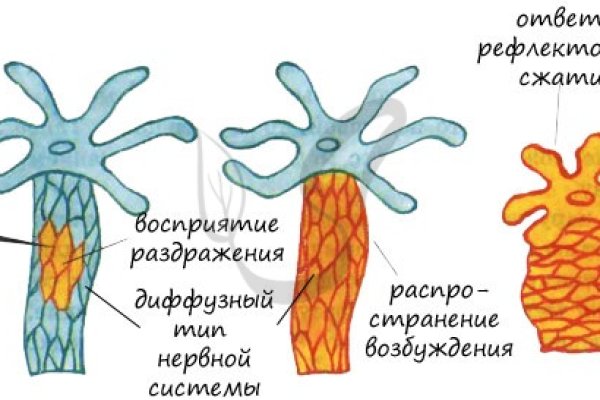 Купить онлайн закладки героин гашиш бошки метадон