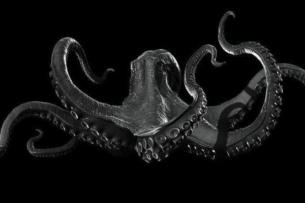 Kraken телеграмм