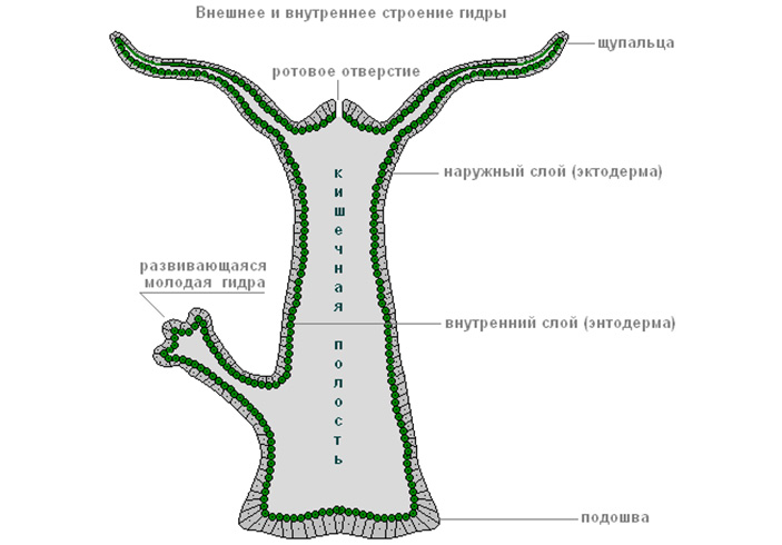 Onion кракен сайт kraken ssylka onion